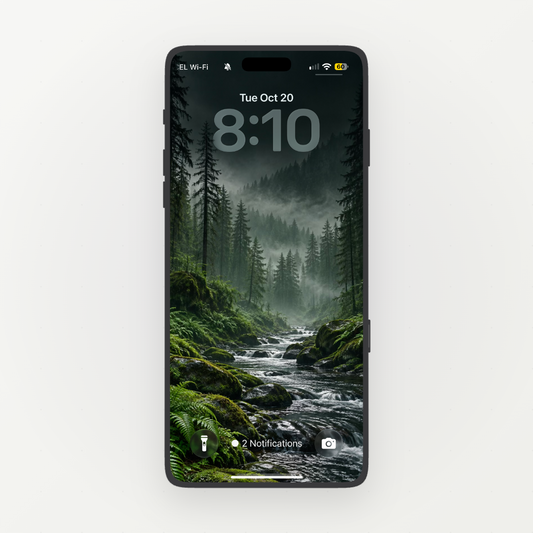 Front-facing phone displaying a rocky stream running through a misty green conifer forest.
